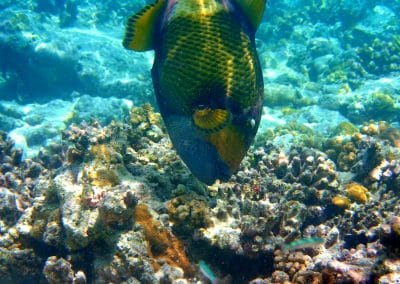 Sun Aqua Vilu Reef Maledives