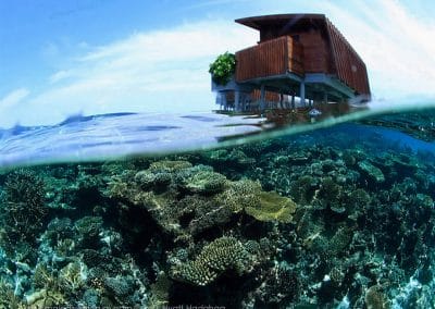 Park Hyatt Maldives Hadahaa Reef